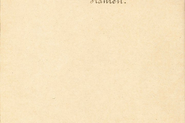 1237.jpg