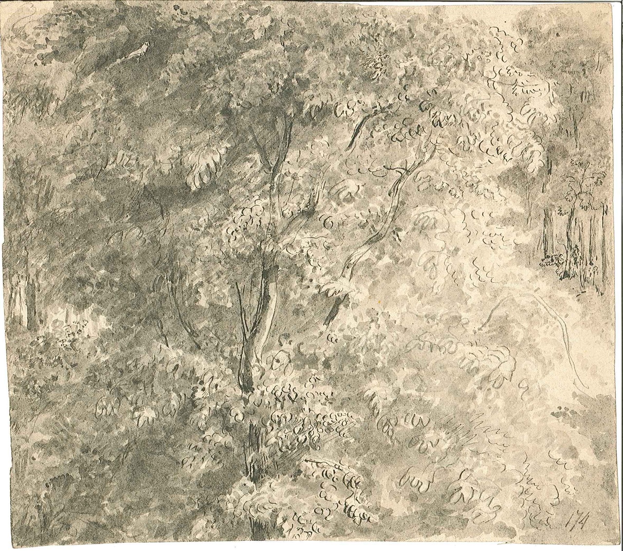 1238-11.jpg