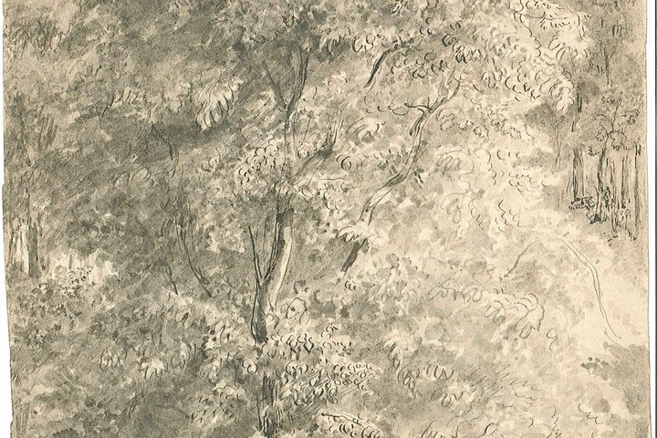 1238-11.jpg