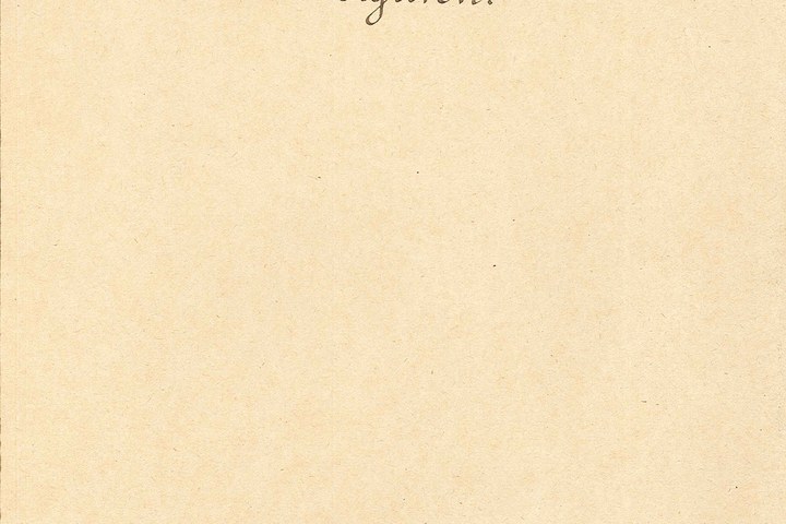 1239.jpg