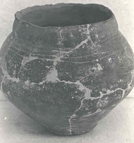1663.jpg