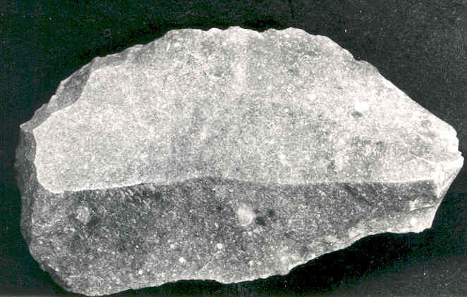 2457.jpg