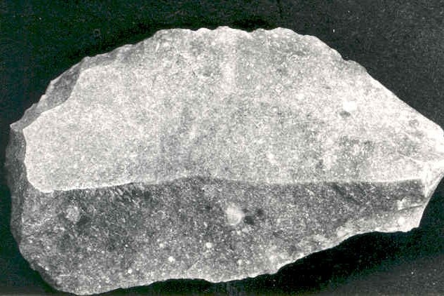 2457.jpg