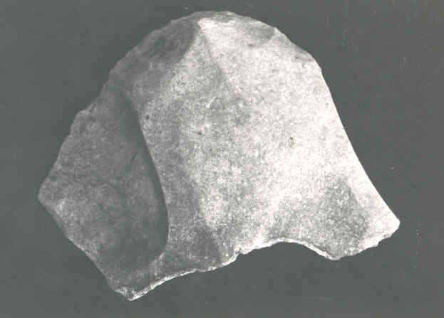2461.jpg