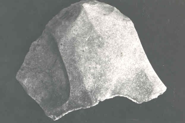 2461.jpg