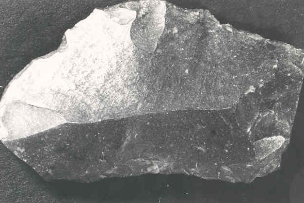 2486.jpg