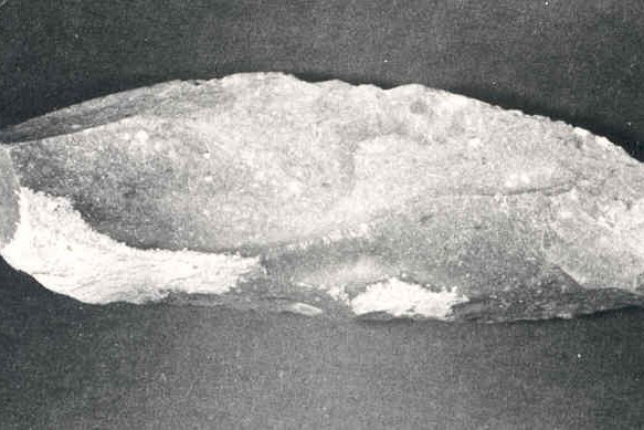 2511.jpg