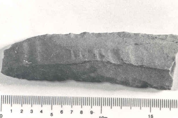 2551.jpg