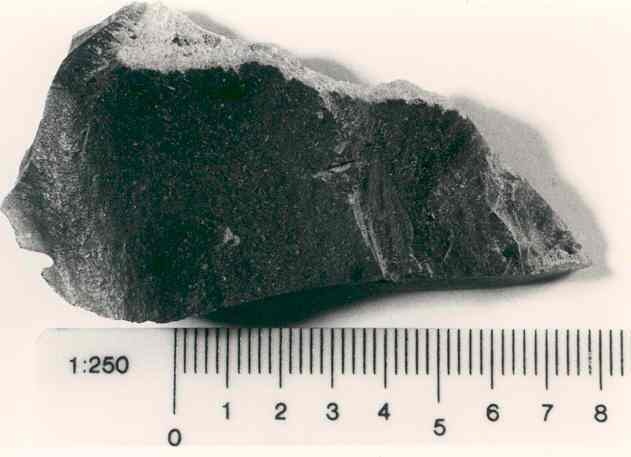 2724.jpg