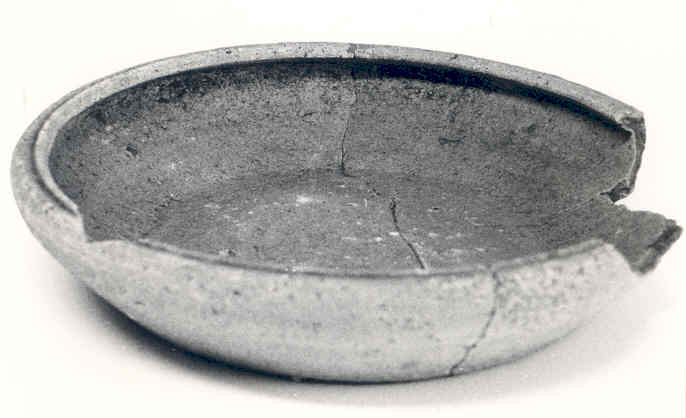 3544.jpg