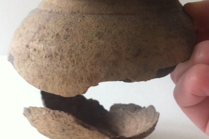 3553.jpg