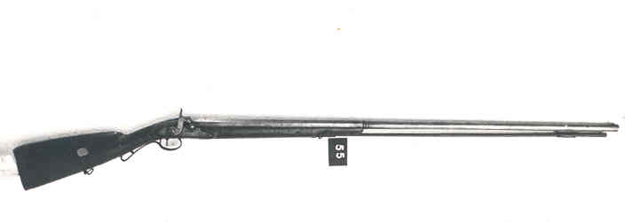 3736.jpg
