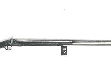 3736.jpg