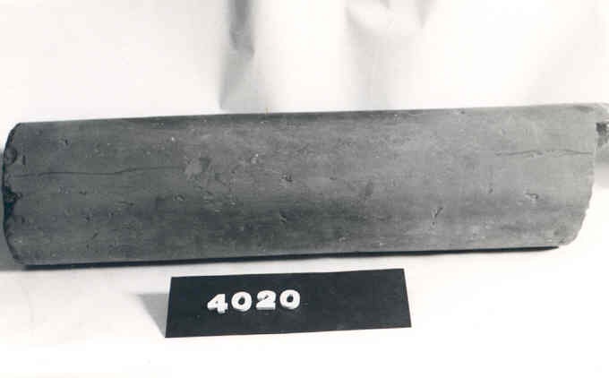 4020.jpg