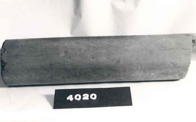 4020.jpg