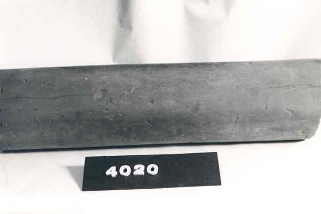 4020.jpg
