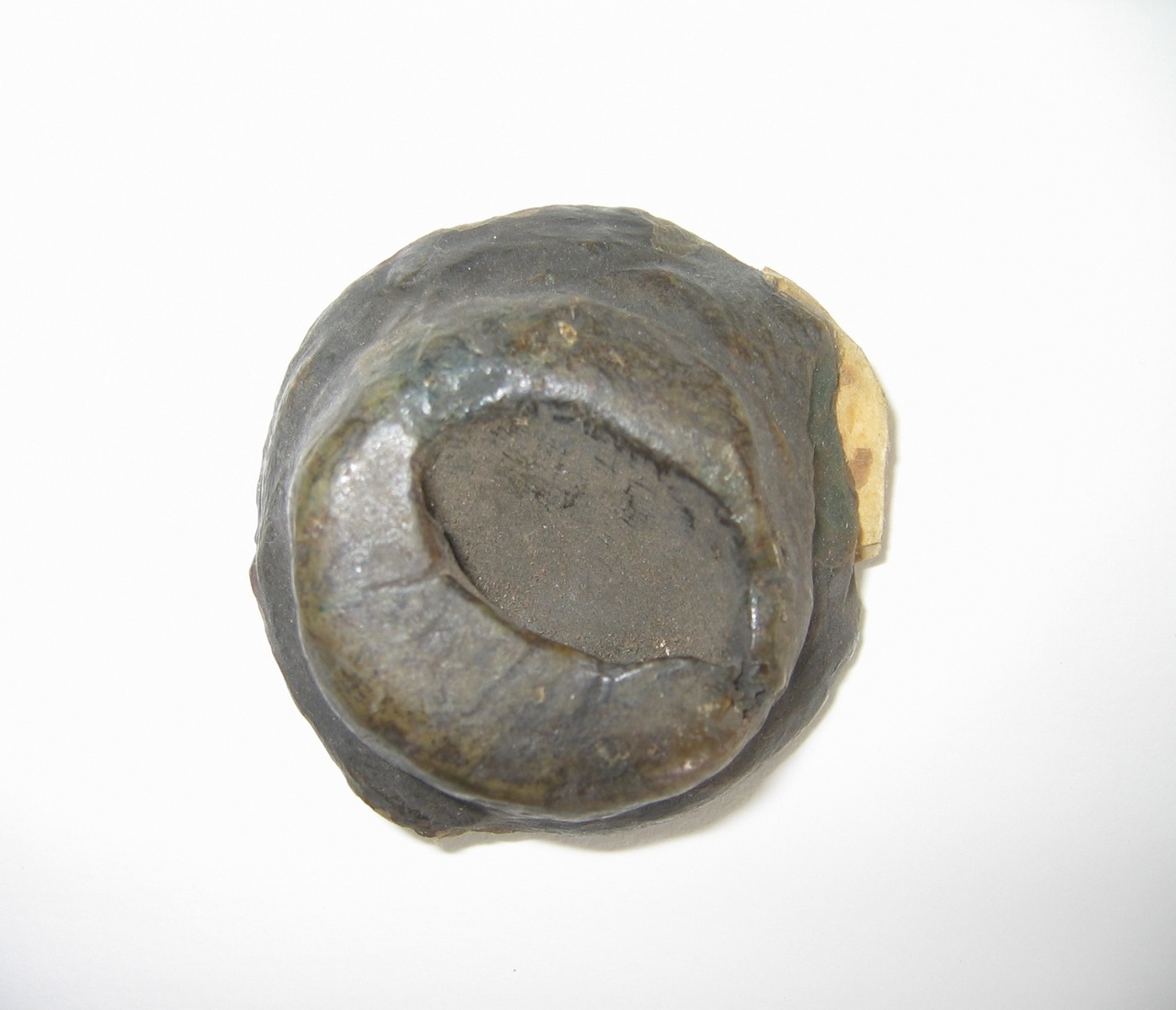 5960-1.JPG
