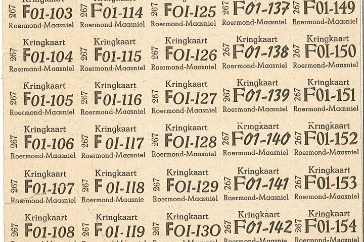 BR 0484-19.jpg