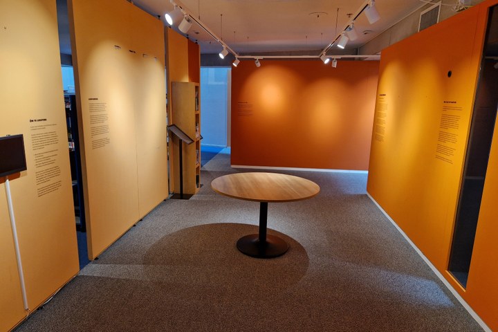 Tentoonstelling afgesloten: Remunjs, zo gek nog neet